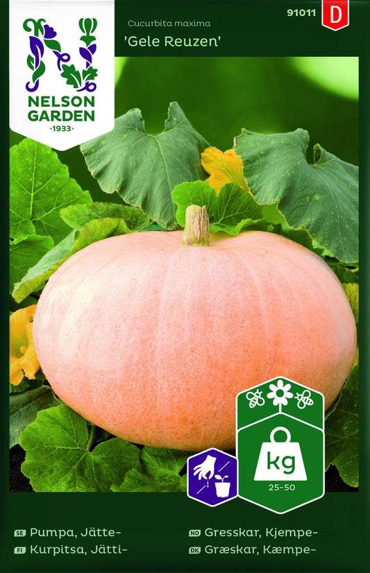 Gele Reuzen gresskar frø – store, runde og gule frukter, egnet for hage og dyrking