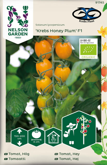 Oransjegul cocktailtomat ‘Krebs Honey Plum’ F1 i drivhus