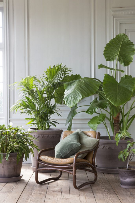 Flere Large Københavner Potter i Grå Terracotta vist sammen i ulike størrelser