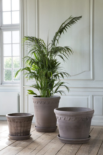 Large Københavner Pot i Grå Terracotta vist i flere størrelser – diameter 50 cm, 60 cm og 70 cm