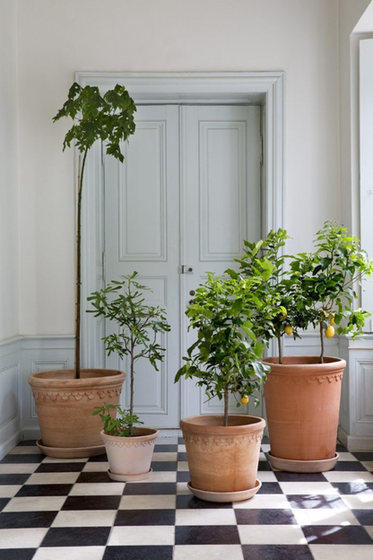 Large Københavner Pot i Rosa Terracotta vist i flere størrelser – diameter 30 cm, 50 cm, 60 cm og 70 cm
