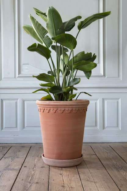Store krukker Large Københavner Høy Potte i Rosa Terracotta, diameter 60 cm