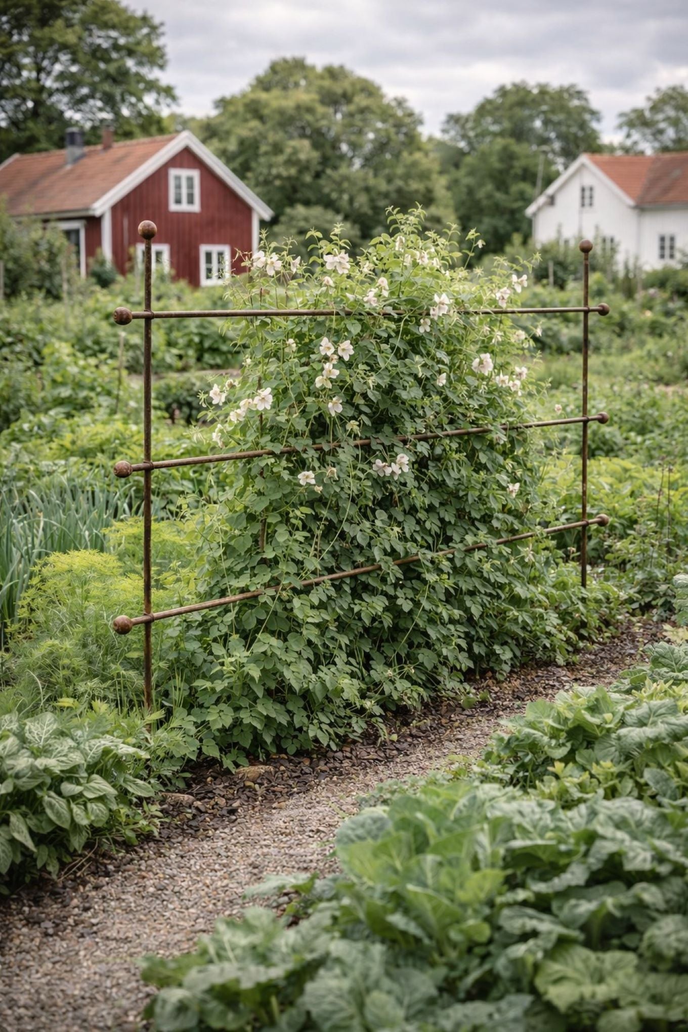 Plantestøtte i rustent stål fra Muntons som støtter opp klatreplanter i hagen