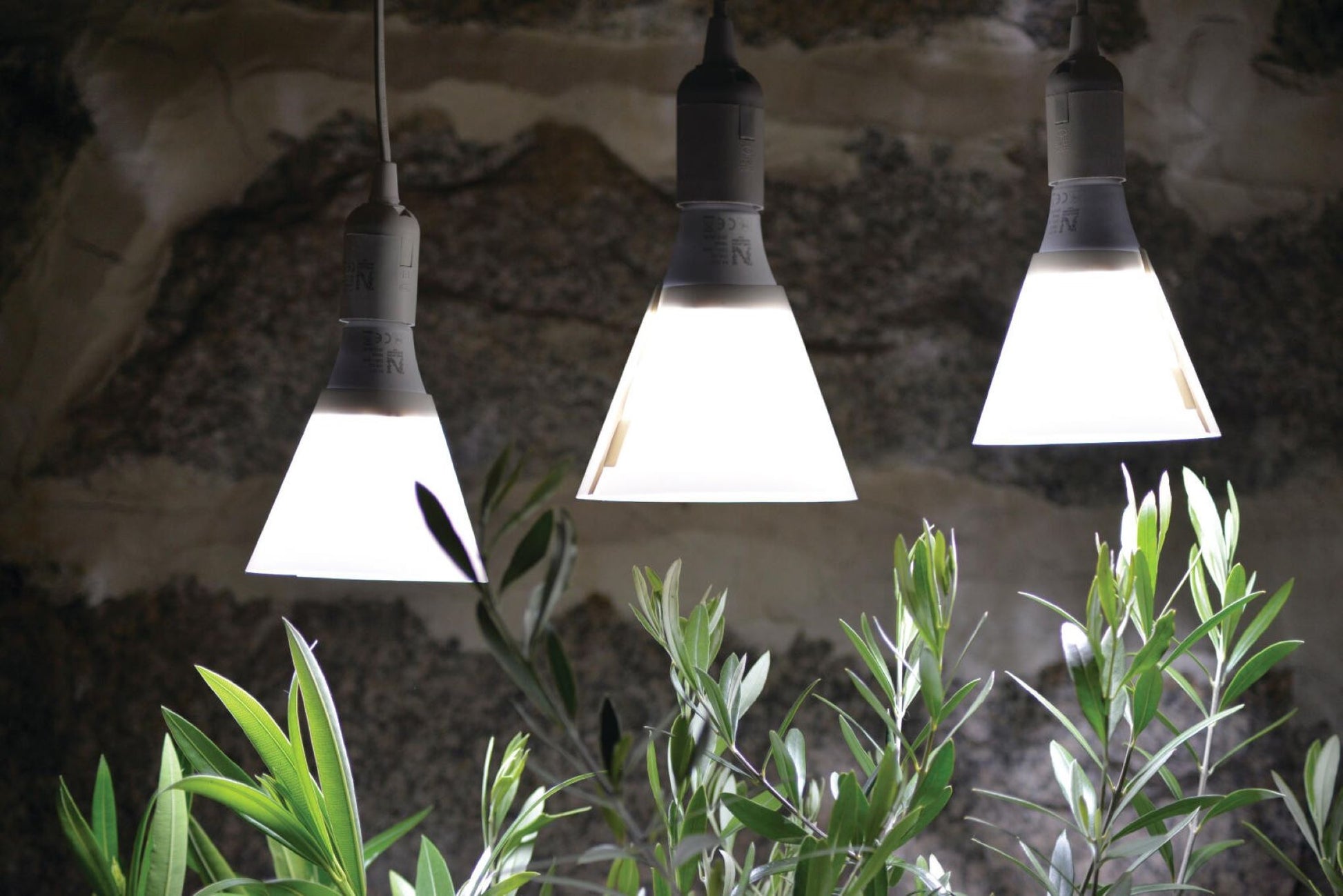 Plantelys E27 med skjerm montert over planter for bedre vekst