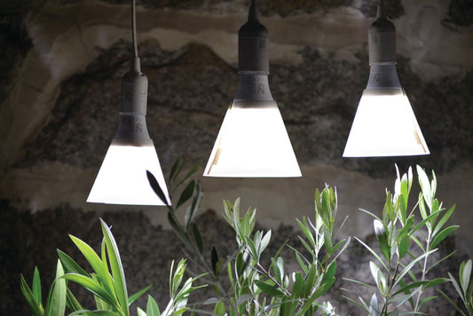 Plantelys E27 med skjerm montert over planter for bedre vekst