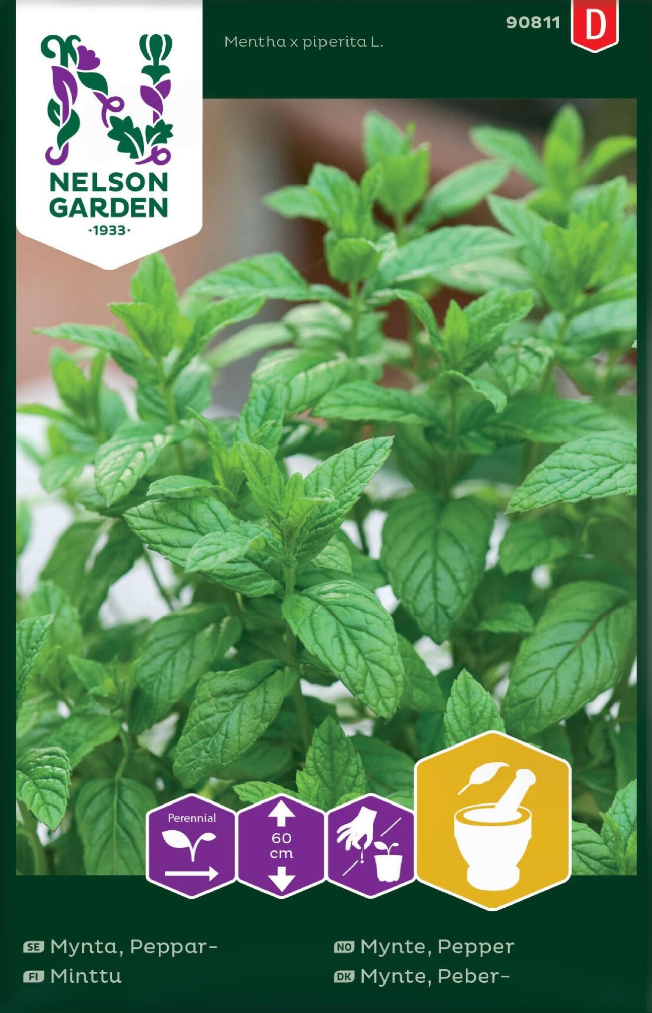 Peppermynteplante fra Nelson Garden – aromatiske blader i urtehage.