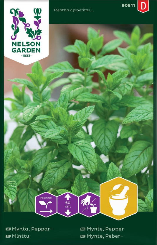 Peppermynteplante fra Nelson Garden – aromatiske blader i urtehage.
