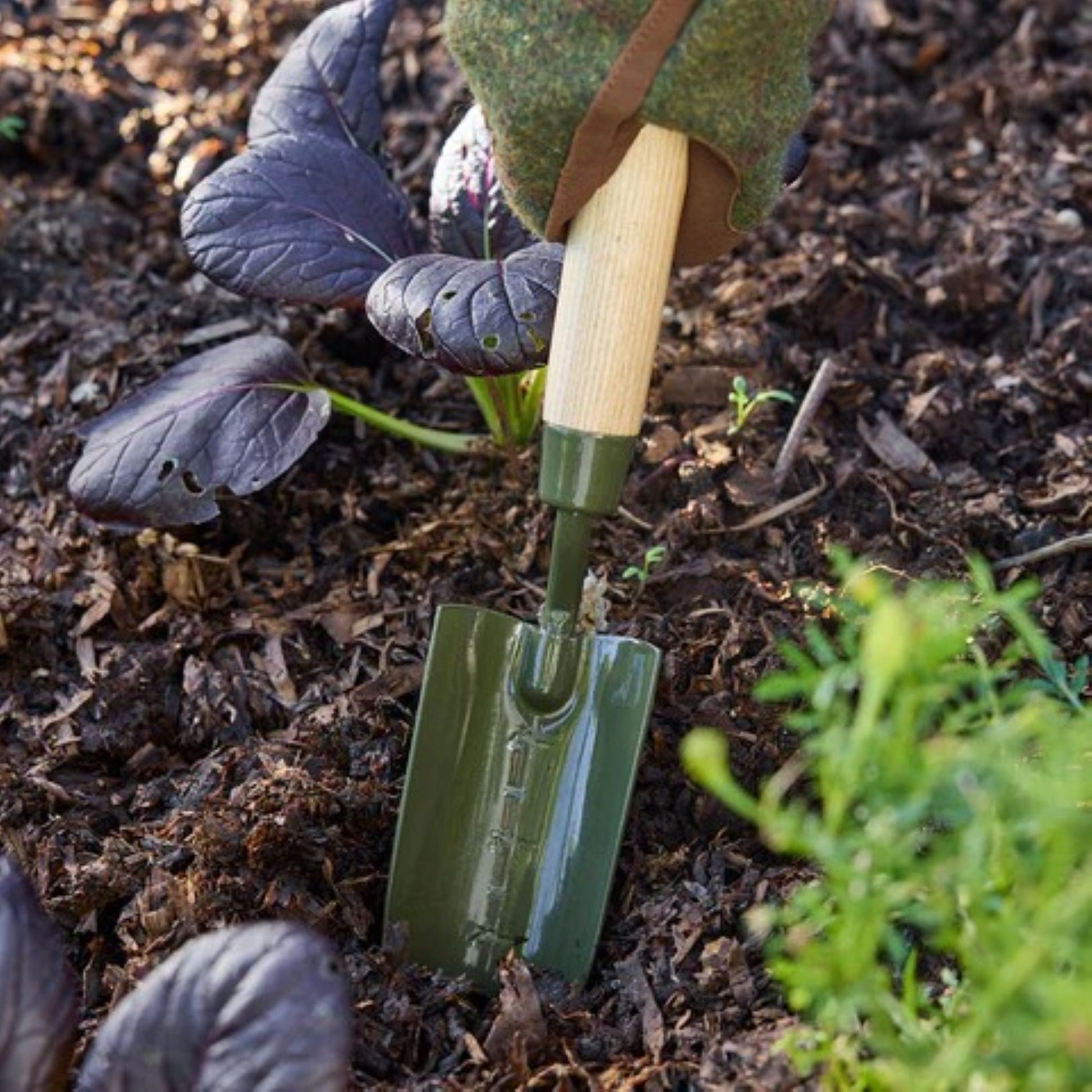 RHS-godkjent plantespade fra Burgon & Ball med 25 års garanti
