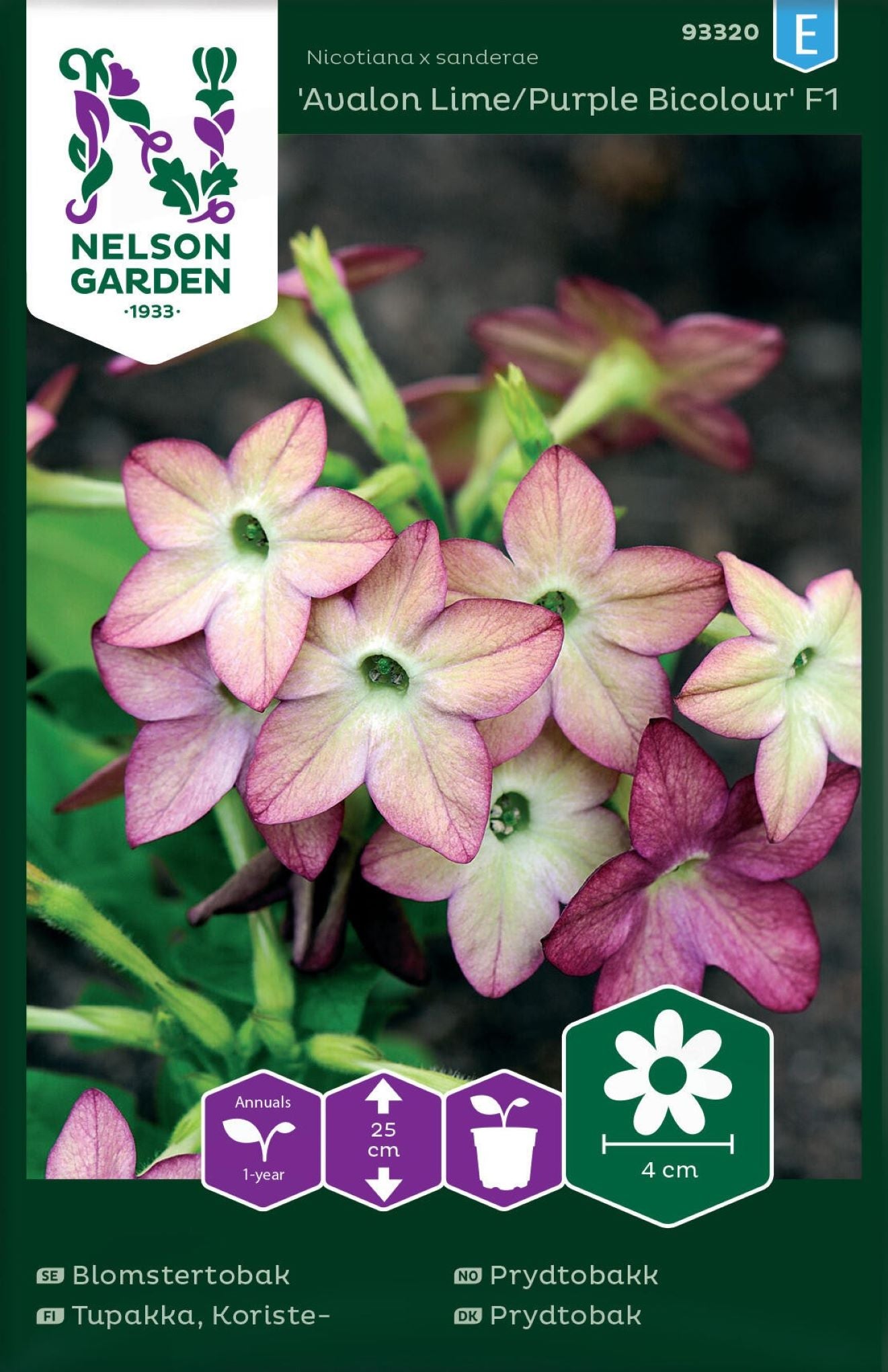 Prydtobakk ‘Avalon Lime/Purple Bicolour’ med fargeskiftende blomster