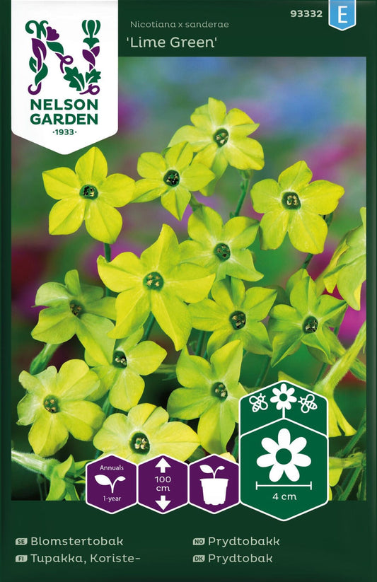Prydtobakk ‘Lime Green’ med gulgrønne blomster i bed