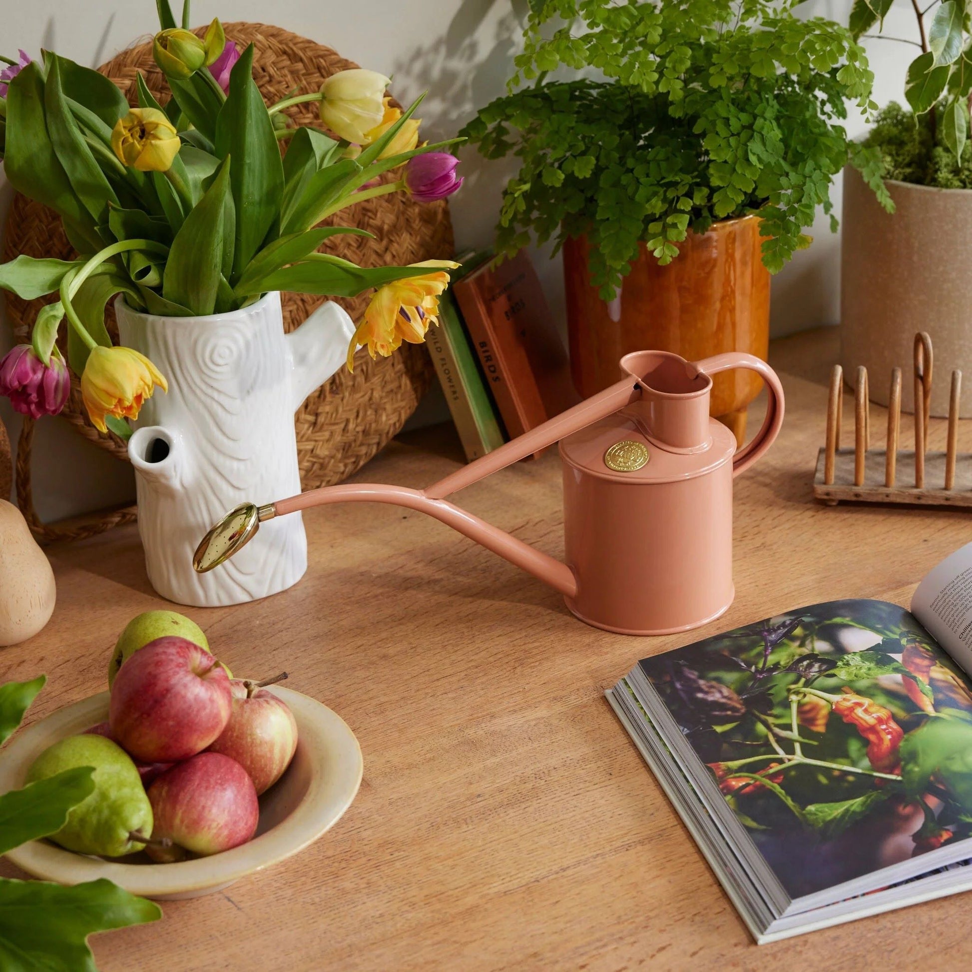 Vannkanne Rowley Ripple 1 liter i Pink Clay plassert blant grønne planter i hjemmemiljø