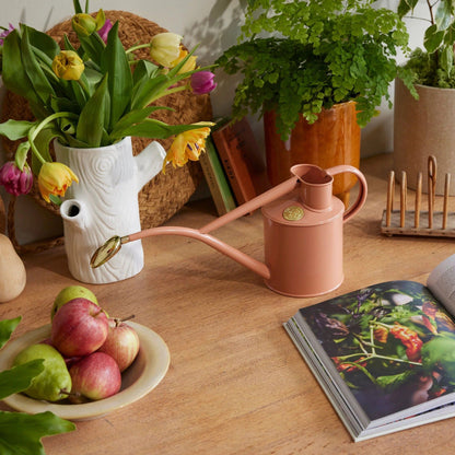 Vannkanne Rowley Ripple 1 liter i Pink Clay plassert blant grønne planter i hjemmemiljø