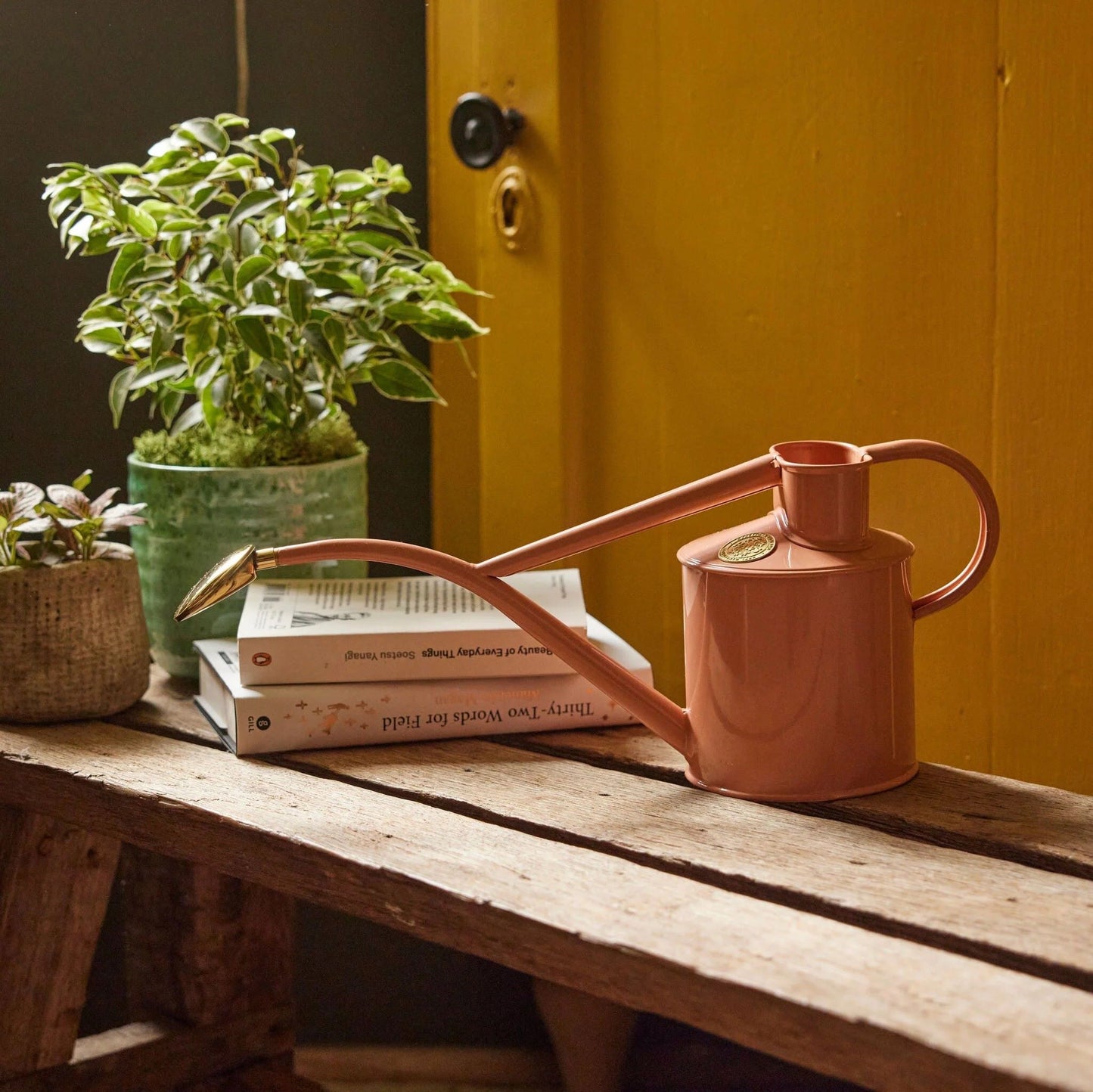 Rowley Ripple 1 L Pink Clay vannkanne stående på hylle med dekorative planter