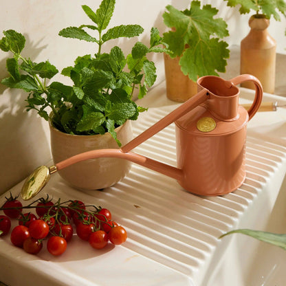 Rowley Ripple Pink Clay 1 liters vannkanne brukt til vanning av potteplanter innendørs