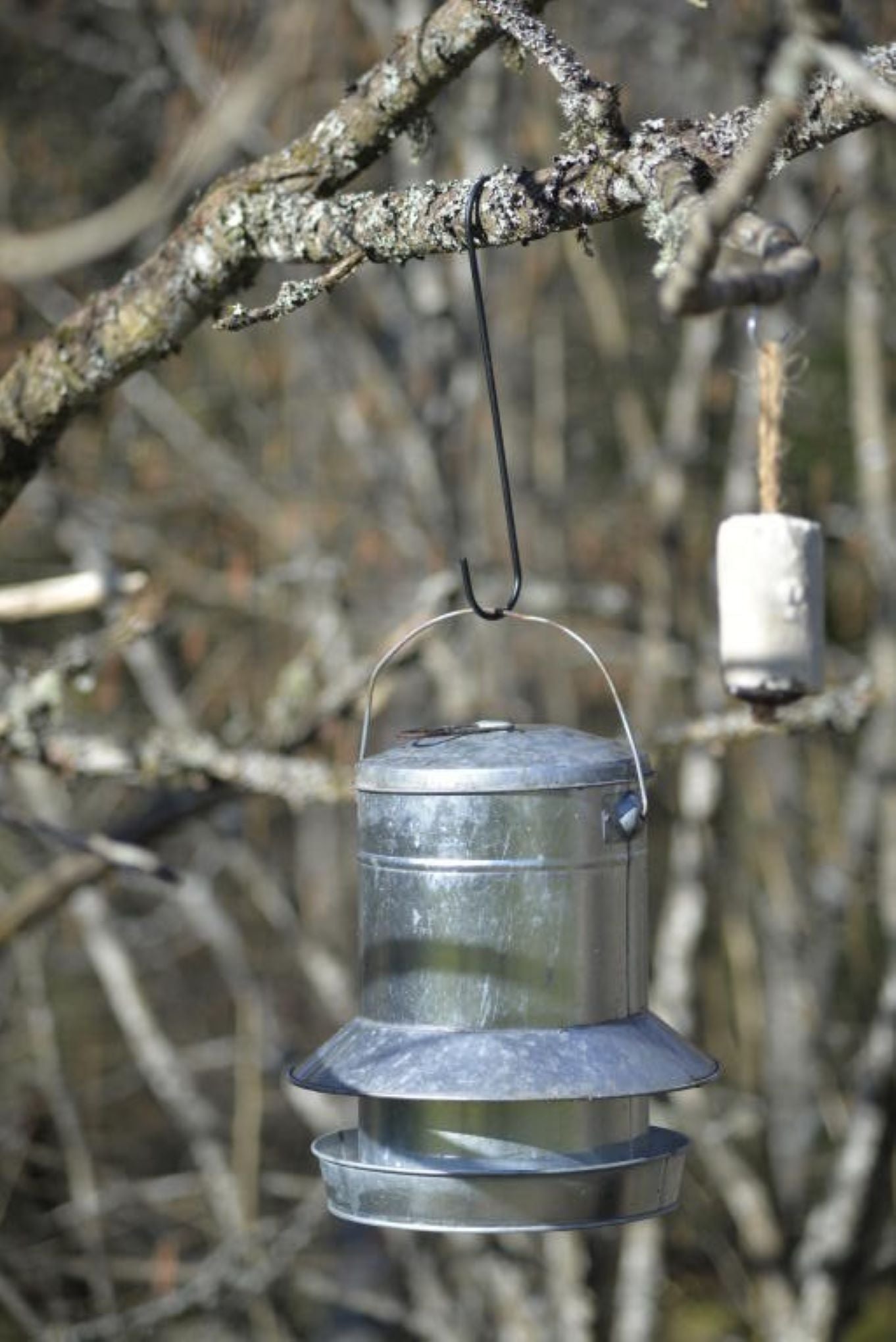 S-krok 30 cm brukt til å henge fuglemater i tre – praktisk og værbestandig løsning fra Nelson Garden.