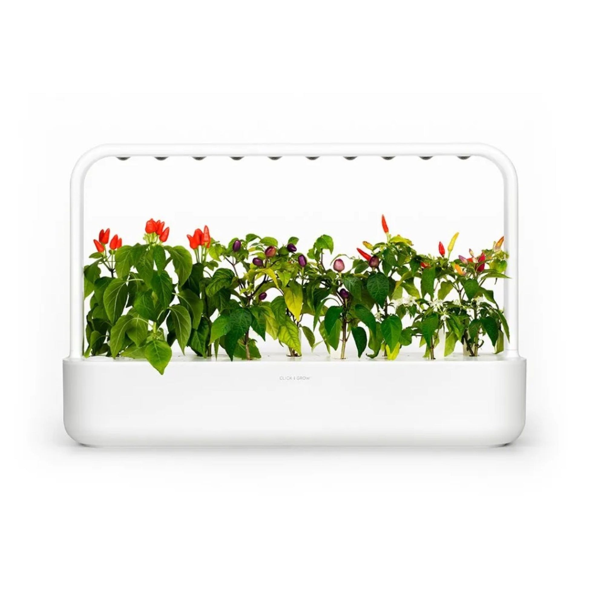 Smart Garden 9 Start Kit hvit – energieffektiv plantedyrker for urter og grønnsaker innendørs året rundt.
