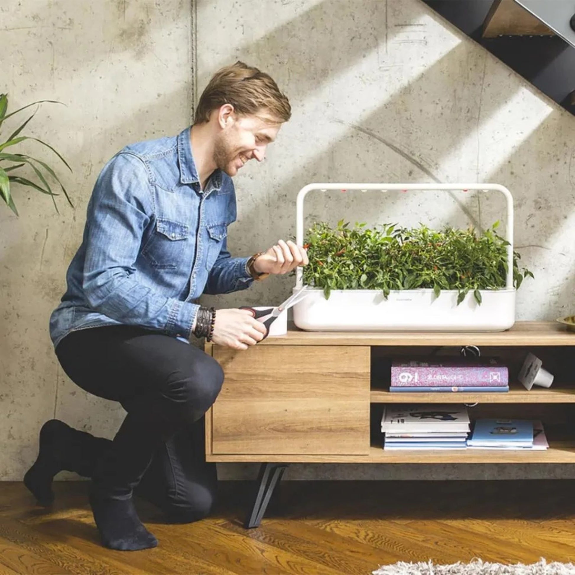 App-styrt plantedyrker Click & Grow Smart Garden 9 Pro i hjemmet – perfekt for innendørs kjøkkenhage året rundt.