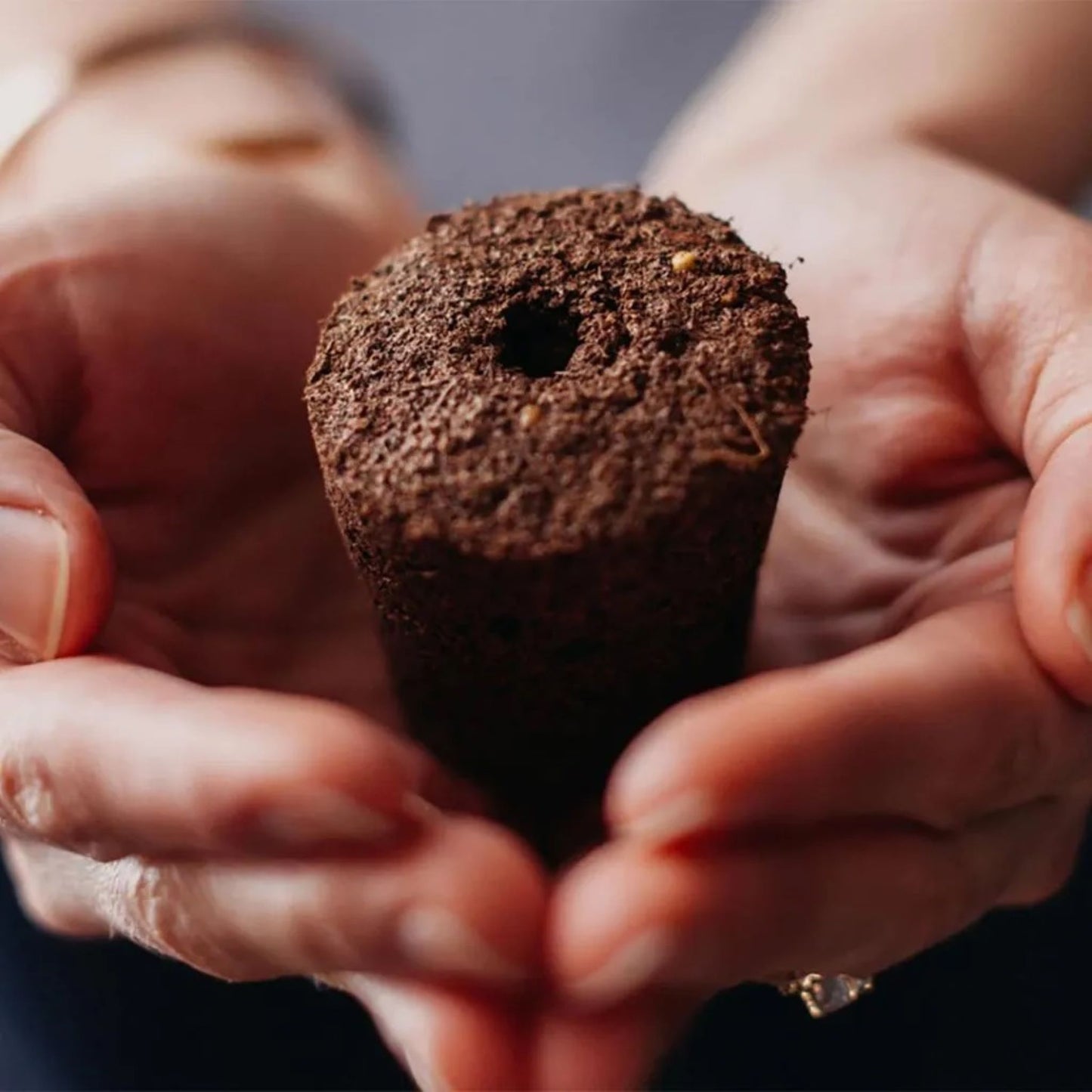 Biologisk nedbrytbar planteplugg til Smart Garden 9 Pro – inneholder frø og smart jord for enkel innendørs dyrking av urter og grønnsaker.
