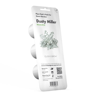 Click & Grow Dusty Miller Refill 3-pack – Dekorativ innendørsplante med lang levetid