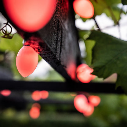 Globe Cone Smart Light Chain – Varig og værbestandig lyskjede for uteplass og hage