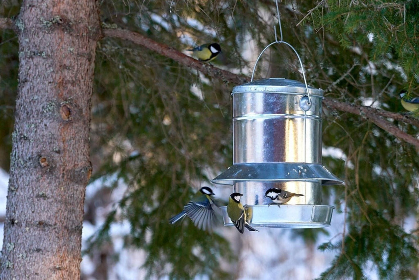 Nelson Garden fuglemater frø ‘Gigant Zinc’ i galvanisert stål med kapasitet 9,5 l — egnet til fôring av småfugler.