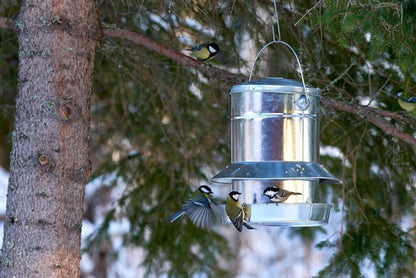 Nelson Garden fuglemater frø ‘Gigant Zinc’ i galvanisert stål med kapasitet 9,5 l — egnet til fôring av småfugler.