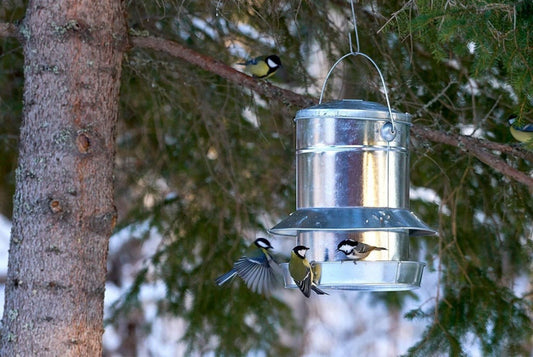 Nelson Garden fuglemater frø ‘Gigant Zinc’ i galvanisert stål med kapasitet 9,5 l — egnet til fôring av småfugler.