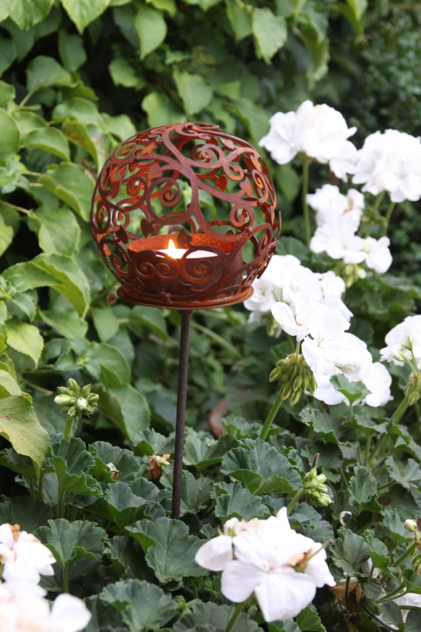 Telysholder Blom plassert i blomsterbed i hagen