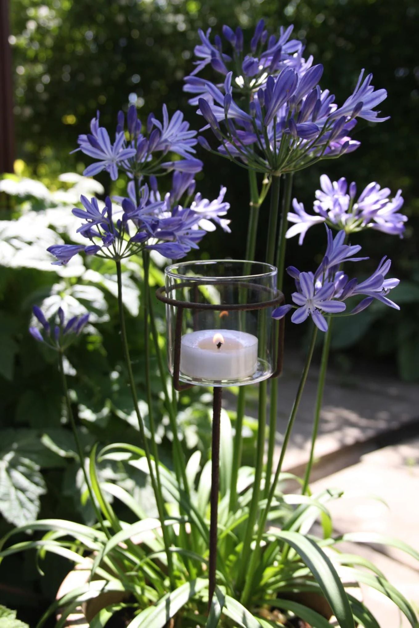 Telysholder med glass mellom krukker og planter på terrassen