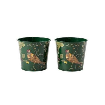 Woodland Wonders urtepotter fra Burgon & Ball
